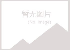 兴山区心疼房地产有限公司